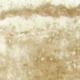 P100
