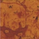 P102